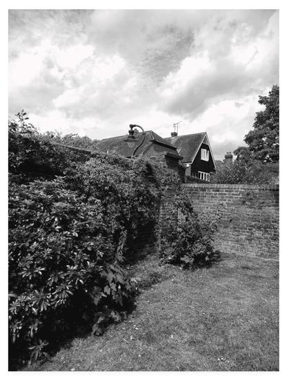 Black and white portrait photograph showing an empty corner of a garden, with brick wall and shrubbery.