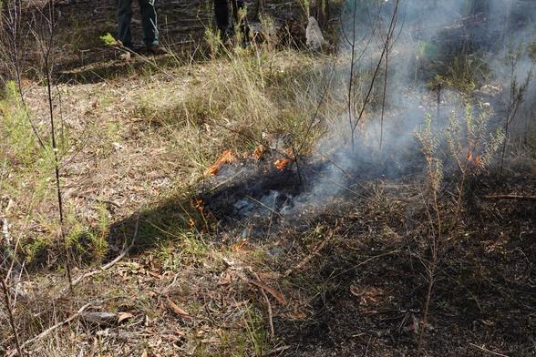A small grass fire burning out from a central ignition point, watched by some First nations people