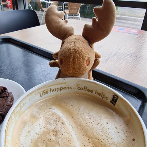 Mr Moose posing behind a partly drunk cappuccino. The inside of the mug reads "Life happens - I coffee helps"