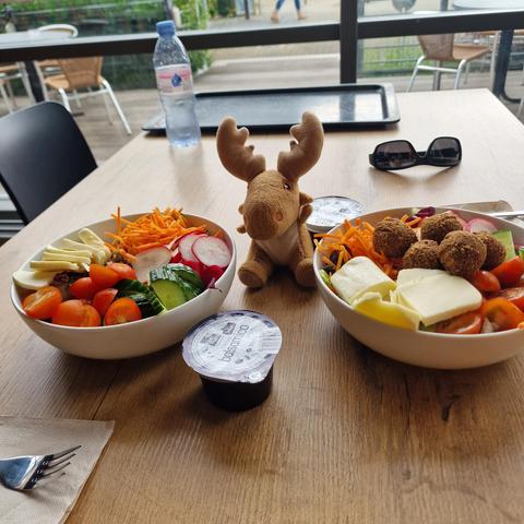 Mr Moose posing with typical road restaurant fare: saldo bowls with mozzarella and falafel, balsamic dressing in cups.