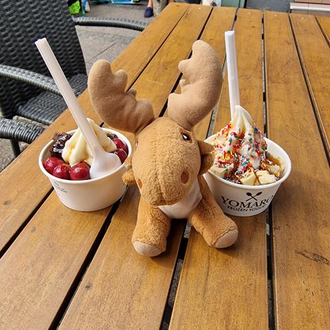 Mr Moose posing with oat froyen yogurt from Yomaro, left with brownie and cherries, right with crispy white chocolate and sprinklers, both with salted caramel
