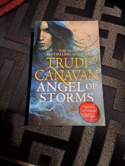 The cover of the book.

A figure wearing a blue robe has blue hair blowing in the wind escaping from under the hood. The image fades into blue smoke the further down the page you go.