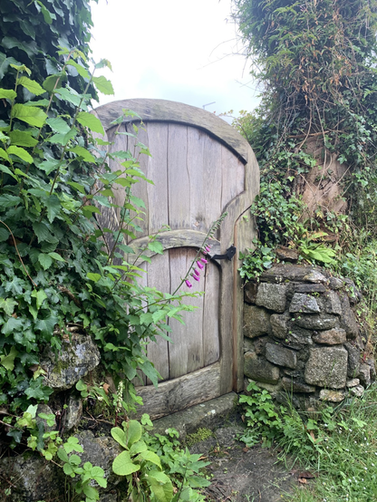 A lovely old fashioned. Wooden garden door surrounded by flowers