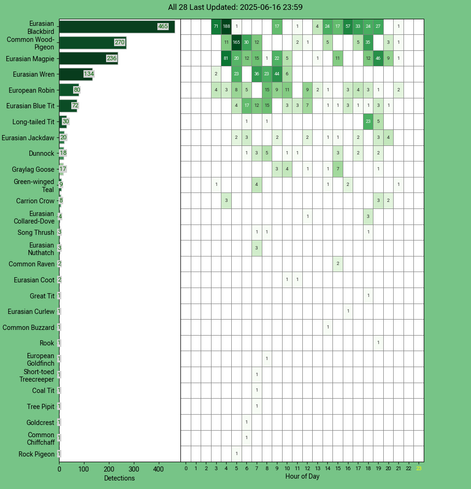 Today's top 20 bird chart