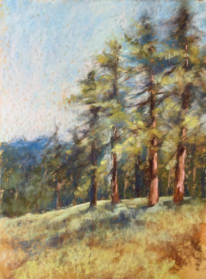 A landscape painting in vertical format, Work-in-Progress. Four tall redwood trees in a meadow.