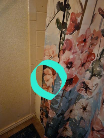 Detail of my shower curtain printed with big pink hollyhocks. One part of the picture is circled to point out one flower that looks like the laughing face of a cartoon elven woman.