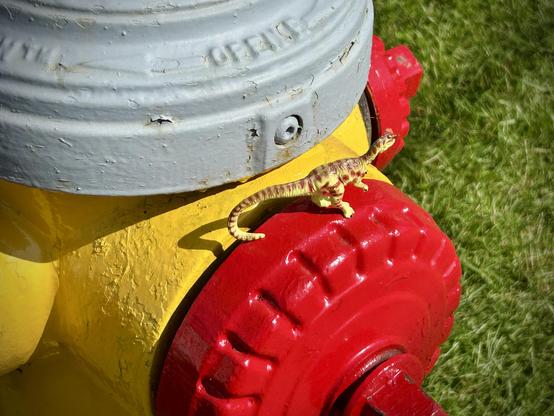 A green Dilophosaurus with brown spots stands on the red valve of a yellow fire hydrant with a grey top. Green grass grows around the scene.