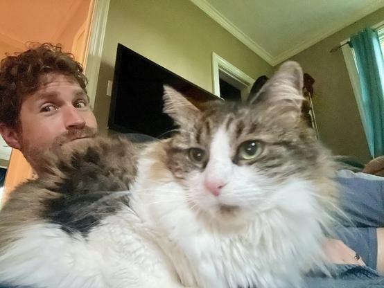A person with curly hair and a beard is sitting on the floor with a fluffy cat resting next to them. The background shows a television and a window with curtains. The cat is looking directly at the camera.