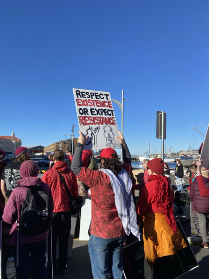 a painted sign held by a pro-Palestine protester stating “respect existence or expect resistance”