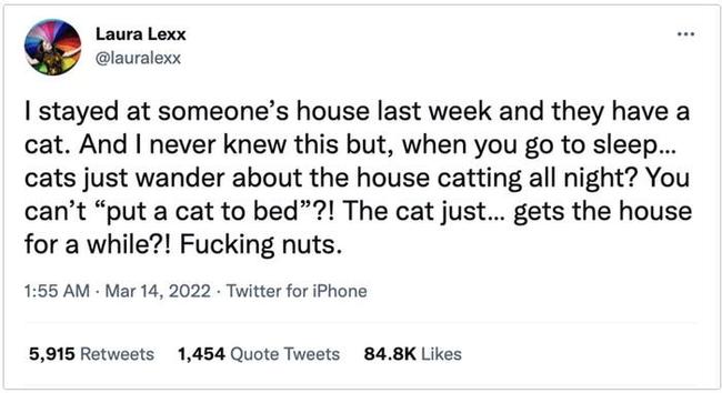 I stayed at someones' house last week and they have a cat. And I never knew this but, when you go to sleep... cats just wander about the house catting all night? You can't "put a cat to bed"?! The cat just... gets the house for a while?! Fucking nuts.