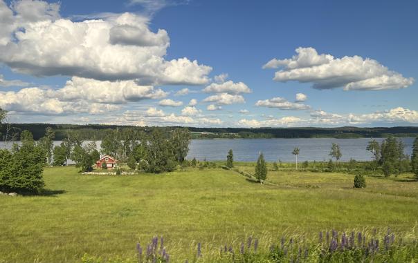 Swedish landscape