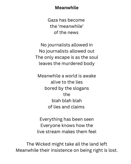 Meanwhile Gaza has become the 'meanwhile' of the news No journalists allowed in No journalists allowed out The only escape is as the soul leaves the murdered body Meanwhile a world is awake alive to the lies bored by the slogans the blah blah blah of lies and claims Everything has been seen Everyone knows how the live stream makes them feel The Wicked might take all the land left Meanwhile their insistence on being right is lost.