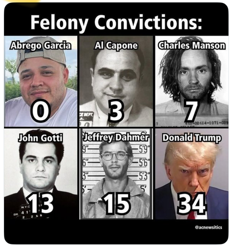Felony convictions:
Abrego Garcia - 0
Al Capone - 3
Charles Manson - 7
John Gotti - 13
Jeffrey Dahmer - 15
Puppyfucker - 34