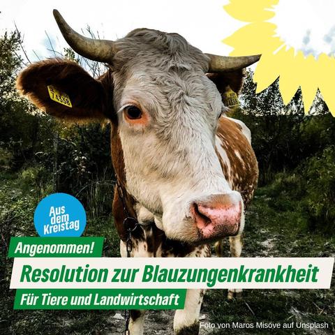 Das Bild zeigt das Gesicht eines braun-weißen Rindes mit einem auffälligen rosa Nasenpolster. Das Tier trägt eine gelbe Ohrmarke mit der Nummer 74338. Es steht in einer grünen, bewaldeten Umgebung, was auf eine ländliche Umgebung hinweist. Im Vordergrund ist ein Text in deutscher Sprache zu sehen, der besagt: "Aus dem Kreistag, Angenommen! Resolution zur Blauzungenkrankheit Für Tiere und Landwirtschaft." Ein gelbes Sonnenblumen-Element ist im oberen rechten Bereich des Bildes zu sehen. Der Text und das Bild zusammen vermitteln die Botschaft einer positiven Entscheidung im Kreistag zur Bekämpfung der Blauzungenkrankheit, die für Tiere und die Landwirtschaft von Bedeutung ist.

Bereitgestellt von @altbot, privat und lokal generiert mit Ovis2-8B

🌱 Energieverbrauch: 0.211 Wh