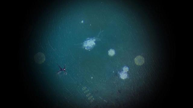Image: apparently a photo from above of a figure floating in water, arms and legs akimbo in, probably a wetsuit; the water is presumably the sea, and near the figure we see various organic shapes that seems like blown-up microscopic plankton; the circular central area of the photo is of normal luminosity, with the photo getting progressively darker towards the edges of the landscape-shape image • “Solomon Fine Art is delighted to host a solo exhibition of new work by one of Ireland’s most celebrated sculptors, Rachel Joynt. Best known for her large scale public sculpture, this new body of work by Joynt is intimate both in scale and nature and includes bronze sculpture, print and moving image.”