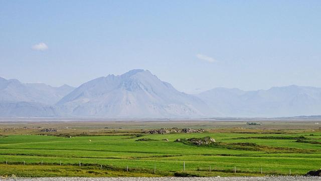 June: A colour photo of a lovely green landscape under a hazy blue sky, suggesting a very warm day. A line of mountains is visible through the heat haze but is indistinct. Beyond a fence, grazing the verdant grassland are sheep dotted across the land. The sky is almost completely clear but misty.