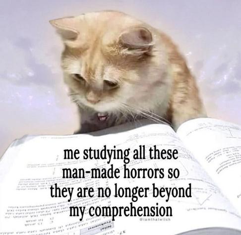 The image features a light orange cat with a fluffy coat, attentively looking down at an open book. The cat's ears are perked, and its eyes are focused, giving it an inquisitive expression. The book is large and occupies the lower part of the image, with visible text and diagrams. The background is a soft blur in light pastel tones. Overlayed on the image is a bold, black text centered over the book.

Transcribed Text:

me studying all these man-made horrors so they are no longer beyond my comprehension