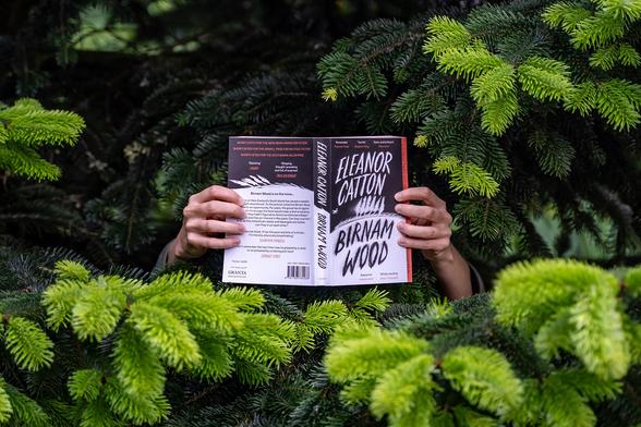 Two hands emerging from the branches of a tree are holding the book 'Birnam Wood' by Booker Prize winner Eleanor Catton.