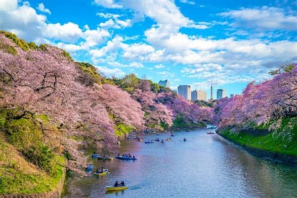 Tokyo travel guide & inspiration - Lonely Planet