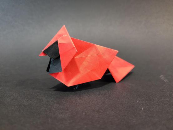 un cardinal en origami, plié dans un papier rouge et noir. Il est posé sur une feuille noire et sa tête est orientée vers la gauche;