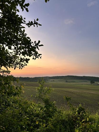 The sun is just up left of the picture. The sky is glowing in a morning colours of pink and blue. The fields in the distance are a bit hazy with humidity. And in the foreground, everything is green. The mosquitoes are hungry.