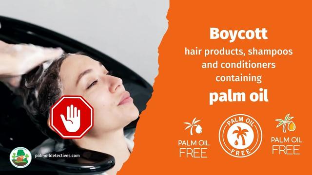 Don't use #palmoil in your #hair - it destroys #rainforests all over the world. Boycott #Unilever, Johnson and Johnson #Loreal because they're worth it, worth avoiding! Buy #palmoilfree #shampoo🫧🪮🧴 #BoycottPalmOil #Boycott4Wildlife @palmoildetect.bsky.social https://palmoildetectives.com/2021/02/11/palm-oil-free-haircare/?utm_source=mastodon&utm_medium=Palm+Oil+Detectives&utm_campaign=publer