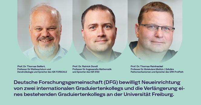 Prof. Dr. Thomas Seifert, Professor für Waldwachstum und Dendroökologie und Sprecher des IGK FORSCALE, Prof. Dr. Patrick Dondl, Professor für Angewandte Mathematik und Sprecher des IGK 3132 und Prof. Dr. Thomas Reinheckel, Professor für Molekulare Medizin / Zelluläre Pathomechanismen und Sprecher von ProtPath.