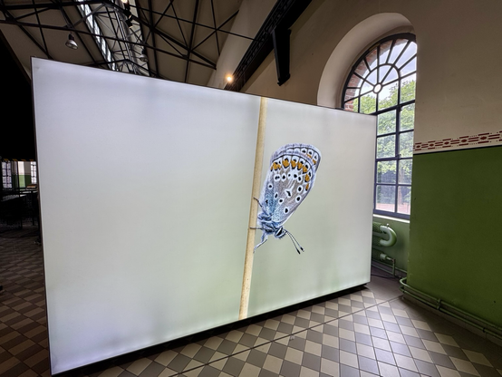 ausstellung mit riesigen insektenfotos in stillgelegter zeche in bochum