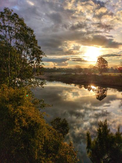 A golden sunset peaks through the clouds. It is reflected in the water of the wide river. On the left is a eucalyptus tree. There are fields and a tree on the far bank.