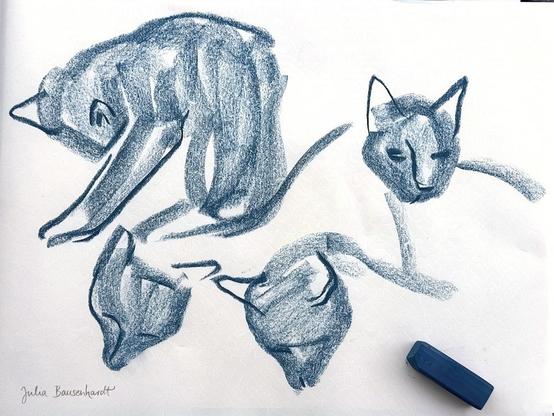A page of several loose studies of a cat grooming itself and looking around, done in broad strokes with a graphite stick.