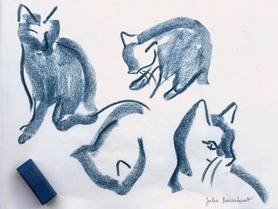 A page of several loose studies of a cat grooming itself and looking around, done in broad strokes with a graphite stick.