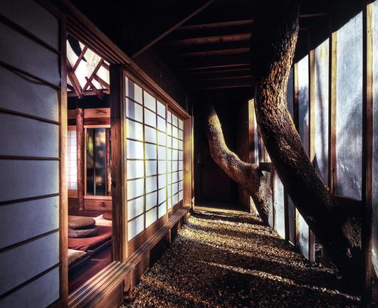 "Inspired by Zen architecture, James Rose sought to achieve indistinction between inside and outside, creating a seamless transition between providing shelter and living with the environment. Photograph of James Rose’s former home by Frederick Charles, taken in 1996. Courtesy F Charles Photography."
