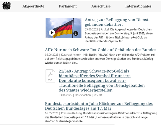 Ein Screenshot des Suchergebnisses auf der Website des Bundestags mit dem Suchwort Regenbogenflagge:

Ein Eintrag der Bundestagspräsidentin (lesenswert) vom 17. Mai und ein Antrg der AfD vom 3. Juni sowie die diesbezüglichen Presseberichte.

Der gescannte Text:

Antrag zur Beflaggung von Dienstgebäuden debattiert 05.06.2025 | Artikel Die Abgeordneten des Deutschen Bundestages haben am Donnerstag, 5. Juni 2025, einen Antrag der AfD mit dem Titel , Schwarz-Rot-Gold als identitatsstiftendes Symbol für .. 

AfD: Nur noch Schwarz-Rot-Gold auf Gebäuden des Bundes 05.06.2025 | Kurznachrichten - HiB Berlin: (hib/AW) Nach dem Willen der AfD-Fraktion soll auf dem Reichstagsgebéude sowie allen anderen Dienstgebauden des Bundes zukiinftig wieder ausschlielich die ...

 21/348 - Antrag: Schwarz-Rot-Gold als A identitatsstiftendes Symbol fiir unsere 7" | Demokratie konsequent bewahren - Traditionelle Beflaggung von Dienstgebduden des Staates wiederherstellen 03.06.2025 | Drucksachen | 615 KB 

Bundestagsprasidentin Julia Klockner zur Beflaggung des Deutschen Bundestages am 17. Mai 16.05.2025 | Pressemitteilung Bundestagsprasidentin Julia Klockner erklärt zur Beflaggung des Deutschen Bundestages am 17. Mai: ,Homosexualitat war in Deutschland lange strafbar. Es dauerte Jahrzehnte ...