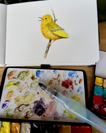 A watercolor painting of a yellow warbler perched on a branch is shown above a palette with various paint colors and a brush.