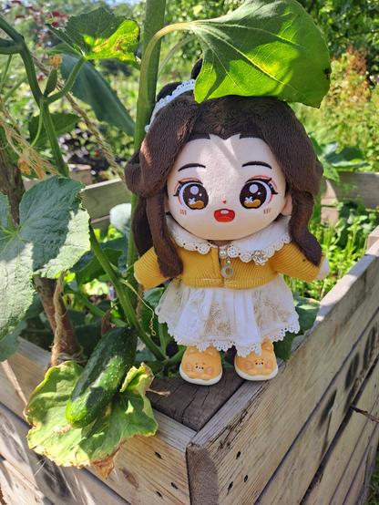 lianlian minidoll with a cucumber plant with a small cucumber growing on it
