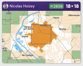 Copie d'écran de mon Übersquadratinho de 18×18 autour de la forêt de Sénart, me valant d'être classé 2856e
