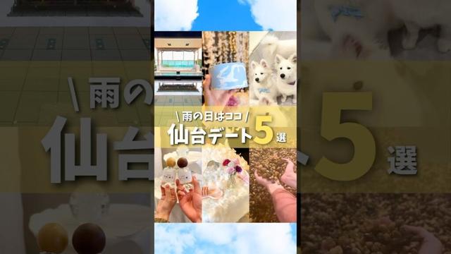 【仙台まとめ】雨の日はココ！屋内デートスポット5選❤️#仙台旅行 #宮城旅行 #仙台観光 #宮城観光 #デート #サモエド #japantravel #japanvlog #japan #shorts