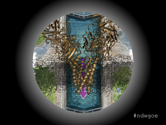 Proteinschleuse in der Zelle durch ein Guckloch betrachtet