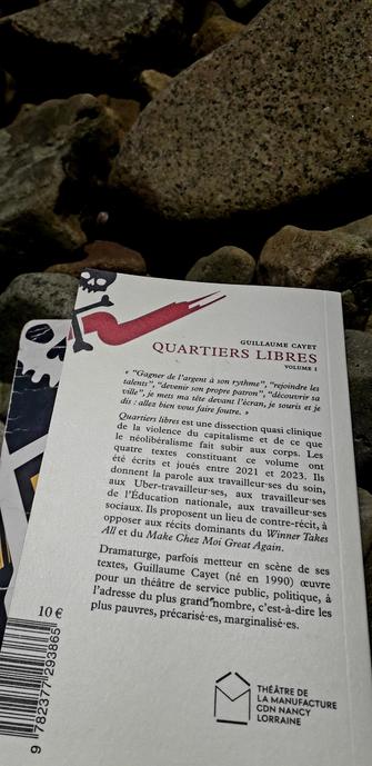 4ème de couverture du livre de Guillaume Cayet, " Quartiers libres " Volume 1 . Éditions Libertalia. Photo prise sur une grève au bord de la mer en Bretagne Nord.