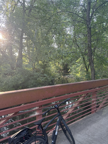 A view looking over the side of the long concrete bridge. Water below, sun peeking from the trees, my bike in the foreground.