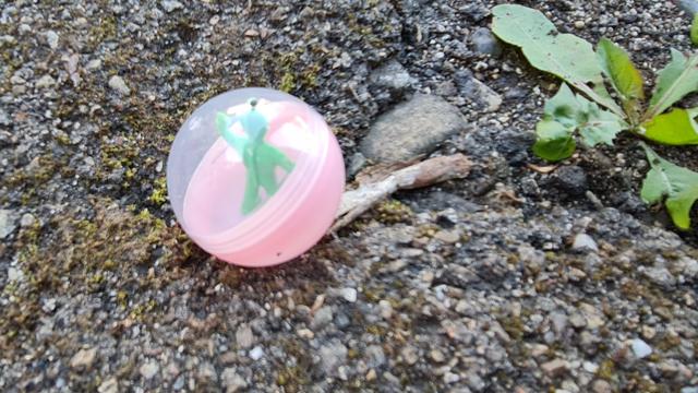 Plastikkugel in selben Farben wie die Blüte vorhin, die halbe Seite durchsichtig, darin eine grüne plastikfigur wie männeken oder grashüpfer. auf dem Gehweg liegend gefunden.