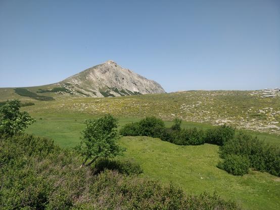 Photo d'une montagne avec de la verdure au pied