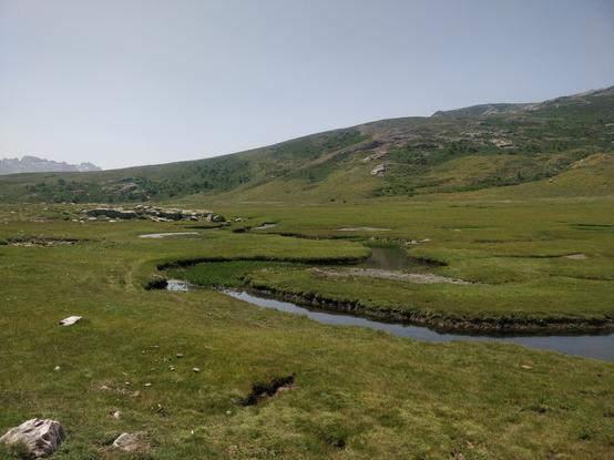 Photo d'une rivière qui serpentent au milieu d'une prairie