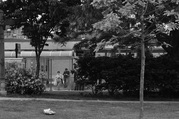 A bank of trees lines the parkette just north of Broadview Station, over the grass of the park. Through a small gap between the trees, just right of centre, we can see two people, small in the distance, waiting on the outdoor platform for the streetcar. Above them we can see the overhang of the platform roof.