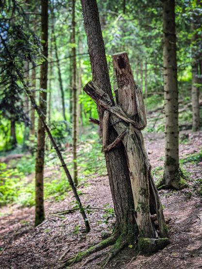 A unique and artistic wooden sculpture situated in a forest setting. The sculpture, crafted from natural wood, depicts two abstract figures embracing against a live tree. Both figures have a rustic, weathered appearance, blending in with their surroundings. In the background, the forest continues, with numerous tall trees creating a dense, natural backdrop. 

The wooden sculptures are part of the Skulpturenpfad by Thomas Rees near Freiburg.