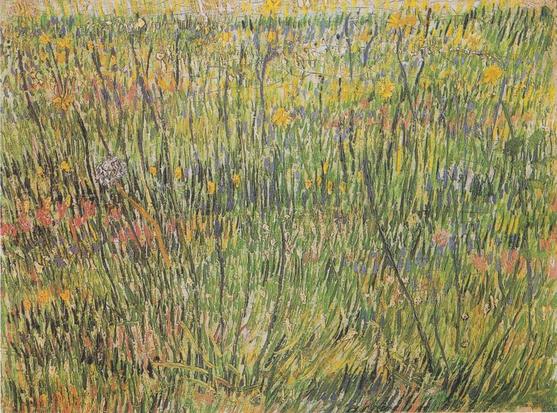 Pasture in Bloom