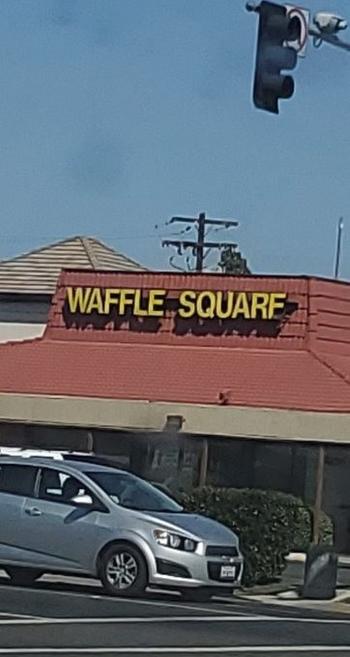 Waffle Squarf