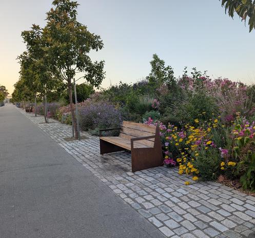 geometric paving patterns support the cleans lines of a bench made from weathered wood + patina-ed steel. alongside, a glorious crowd of flowering plants and shrubs cheers as a line of trees mark the distance.