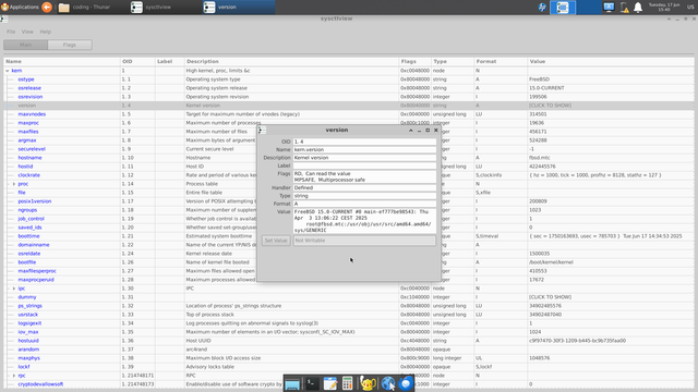Screenshot of sysctlview showing detailed sysctl entries under the kern category. Columns include Name, OID, Label, Description, Flags, Type, Format, and Value. A popup window is open displaying details for kern.version, showing the FreeBSD version string, flags (RD, MPSAFE), and that the value is not writable.