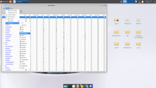 Screenshot of sysctlview in "Flags" mode, displaying sysctl variables with a wide matrix of capability flags such as RD, WR, TUN, STATS, MPSAFE, and more. The "View" menu is open, showing filtering options like "Flags Tree" and toggles for various flag categories. The desktop in the background shows several folders including freebsd-doc, freebsd-accessibility, and ports.